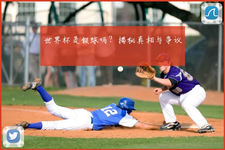 世界杯是假球吗？揭秘真相与争议