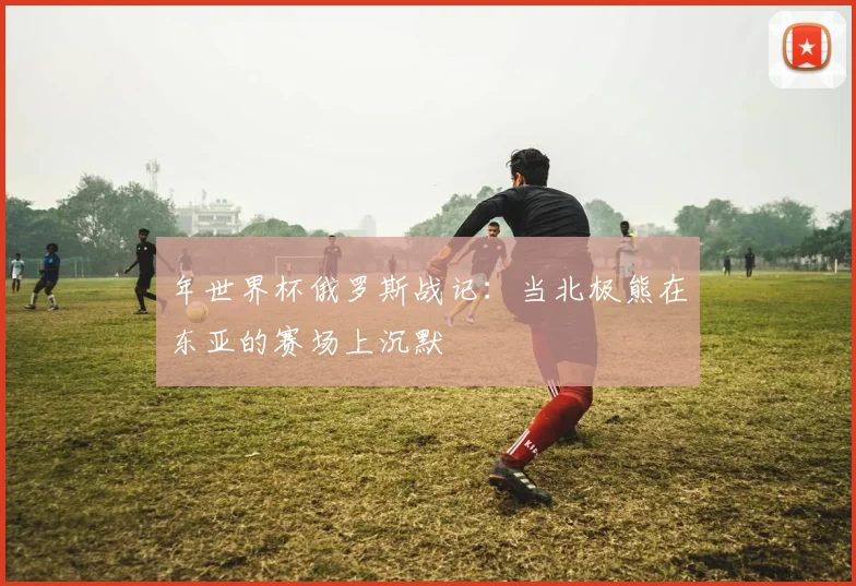 年世界杯俄罗斯战记：当北极熊在东亚的赛场上沉默