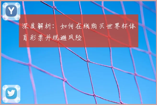 深度解析：如何在线购买世界杯体育彩票并规避风险