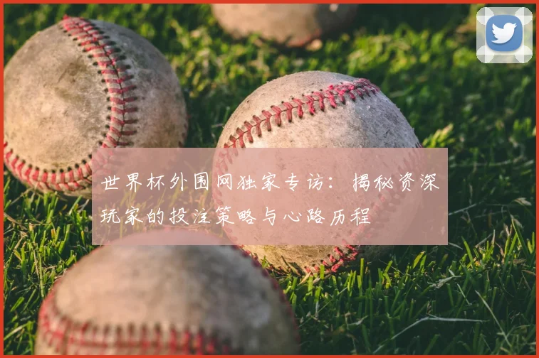 世界杯外围网独家专访：揭秘资深玩家的投注策略与心路历程