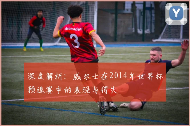 深度解析：威尔士在2014年世界杯预选赛中的表现与得失