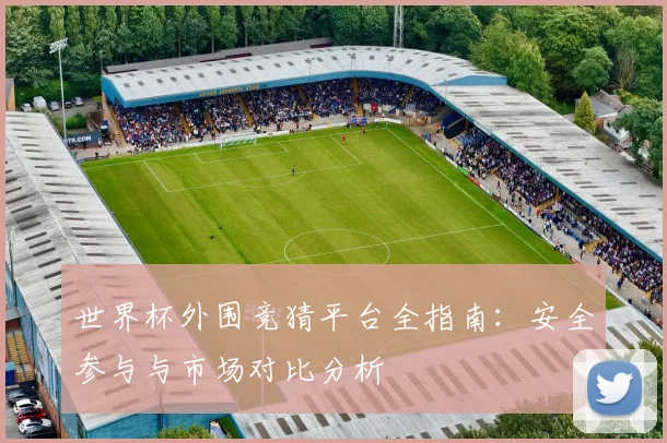 世界杯外围竞猜平台全指南：安全参与与市场对比分析